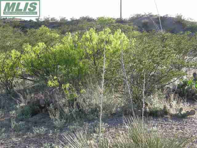 755 Lonesome Road, Las Cruces, NM 88005, foto 7