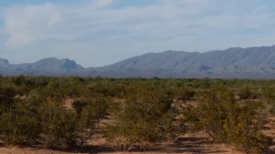 36 Double Tree Street, Las Cruces, NM 88012 photo 3