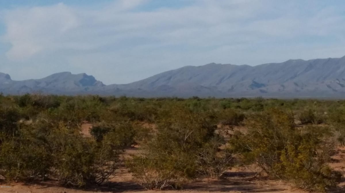 36 Double Tree Street, Las Cruces, NM 88012 photo 3
