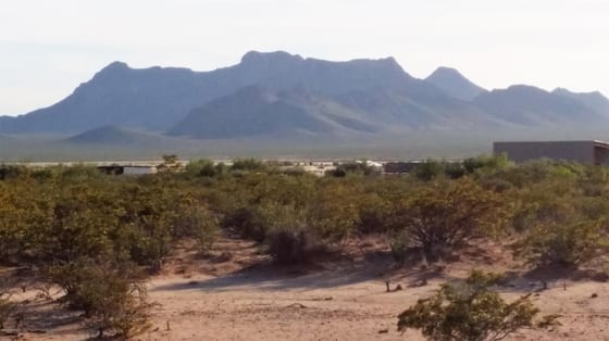 36 Double Tree Street, Las Cruces, NM 88012 photo 4