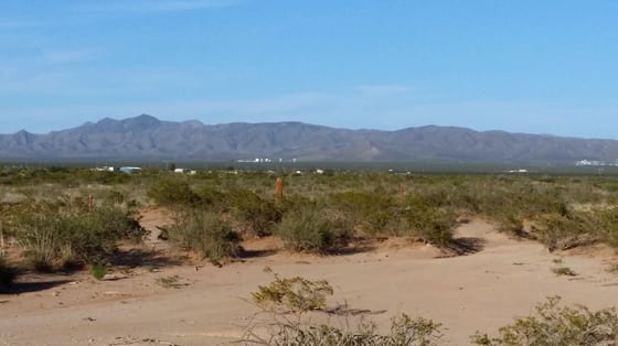 36 Double Tree Street, Las Cruces, NM 88012 photo 5