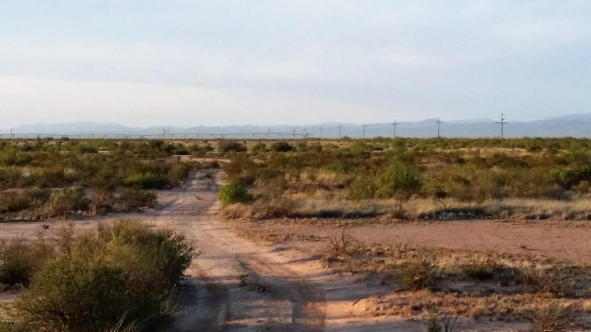 36 Double Tree Street, Las Cruces, NM 88012 photo 7
