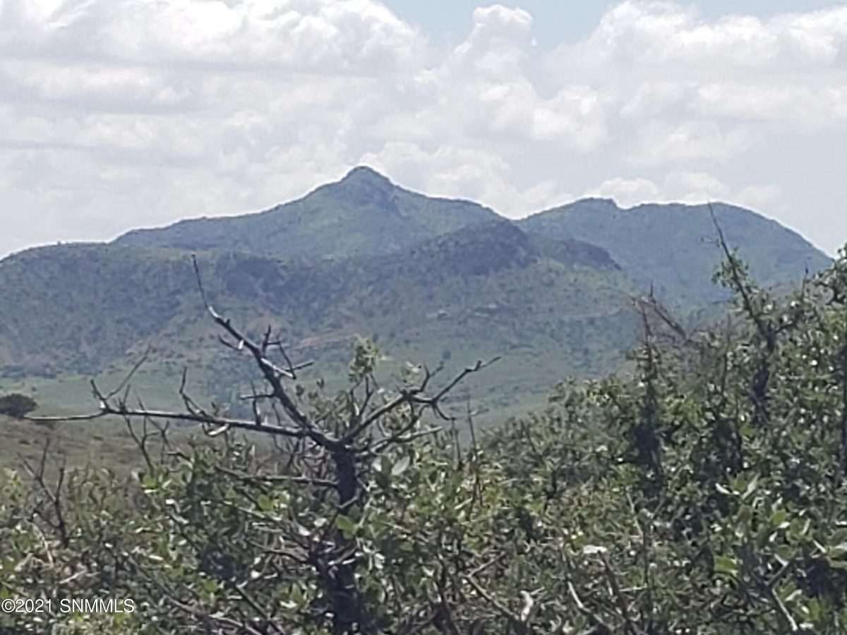 8 Child of Water, Hillsboro, NM 88042, foto 12