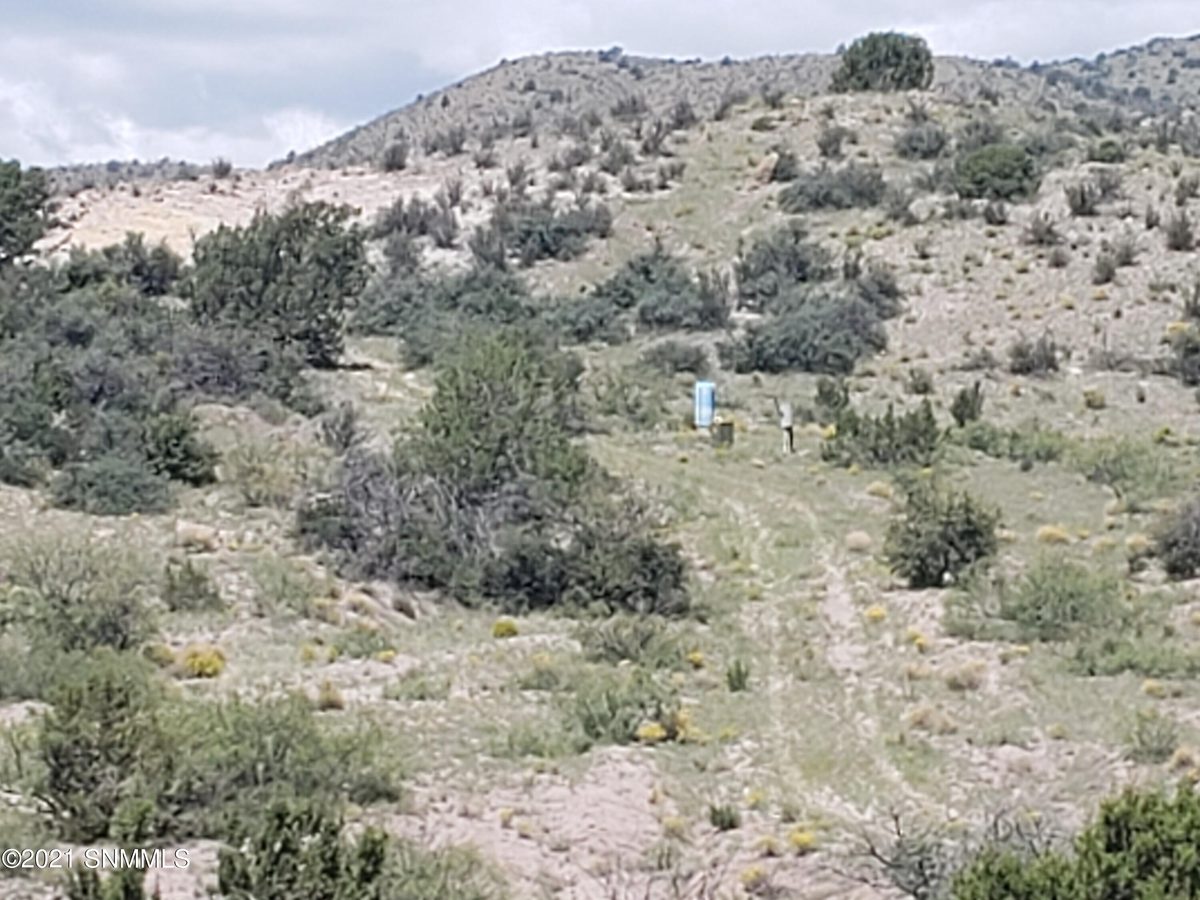 8 Child of Water, Hillsboro, NM 88042, foto 13
