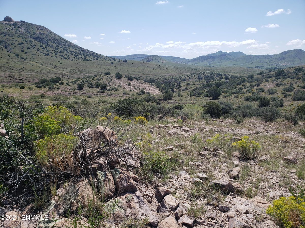 8 Child of Water, Hillsboro, NM 88042, foto 2
