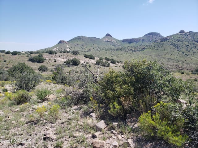 8 Child of Water, Hillsboro, NM 88042, foto 3