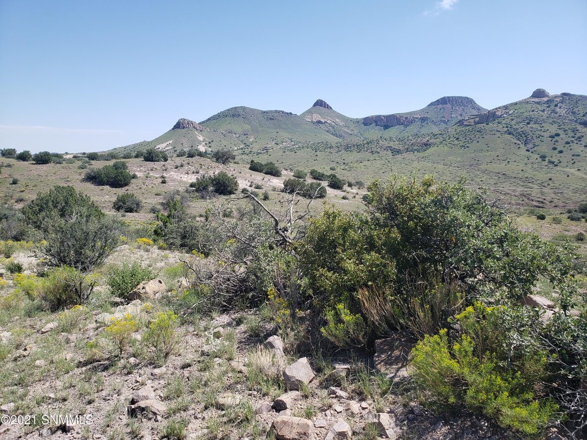 8 Child of Water, Hillsboro, NM 88042, foto 3