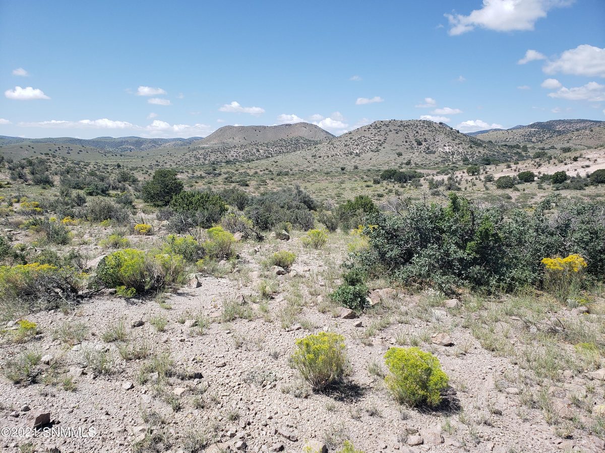 8 Child of Water, Hillsboro, NM 88042, foto 4