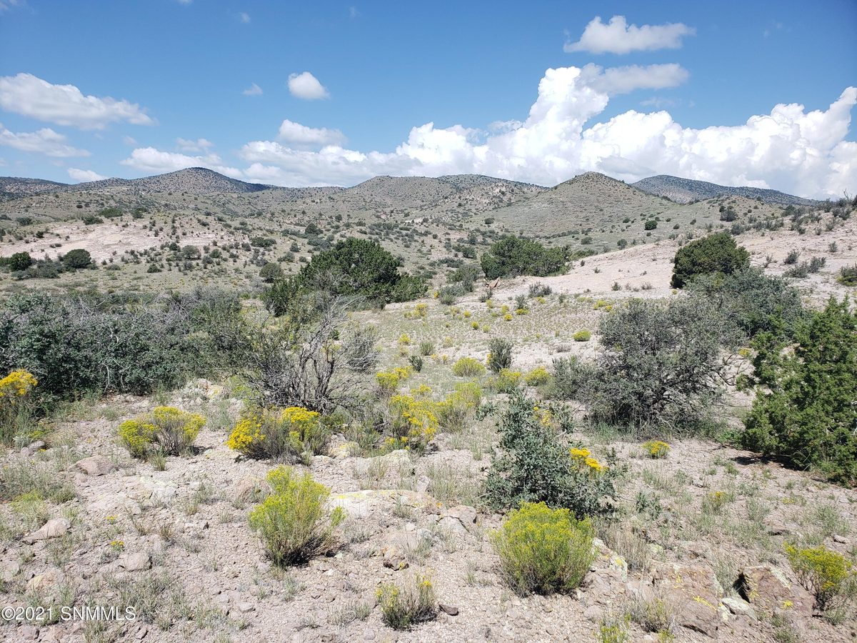 8 Child of Water, Hillsboro, NM 88042, foto 5