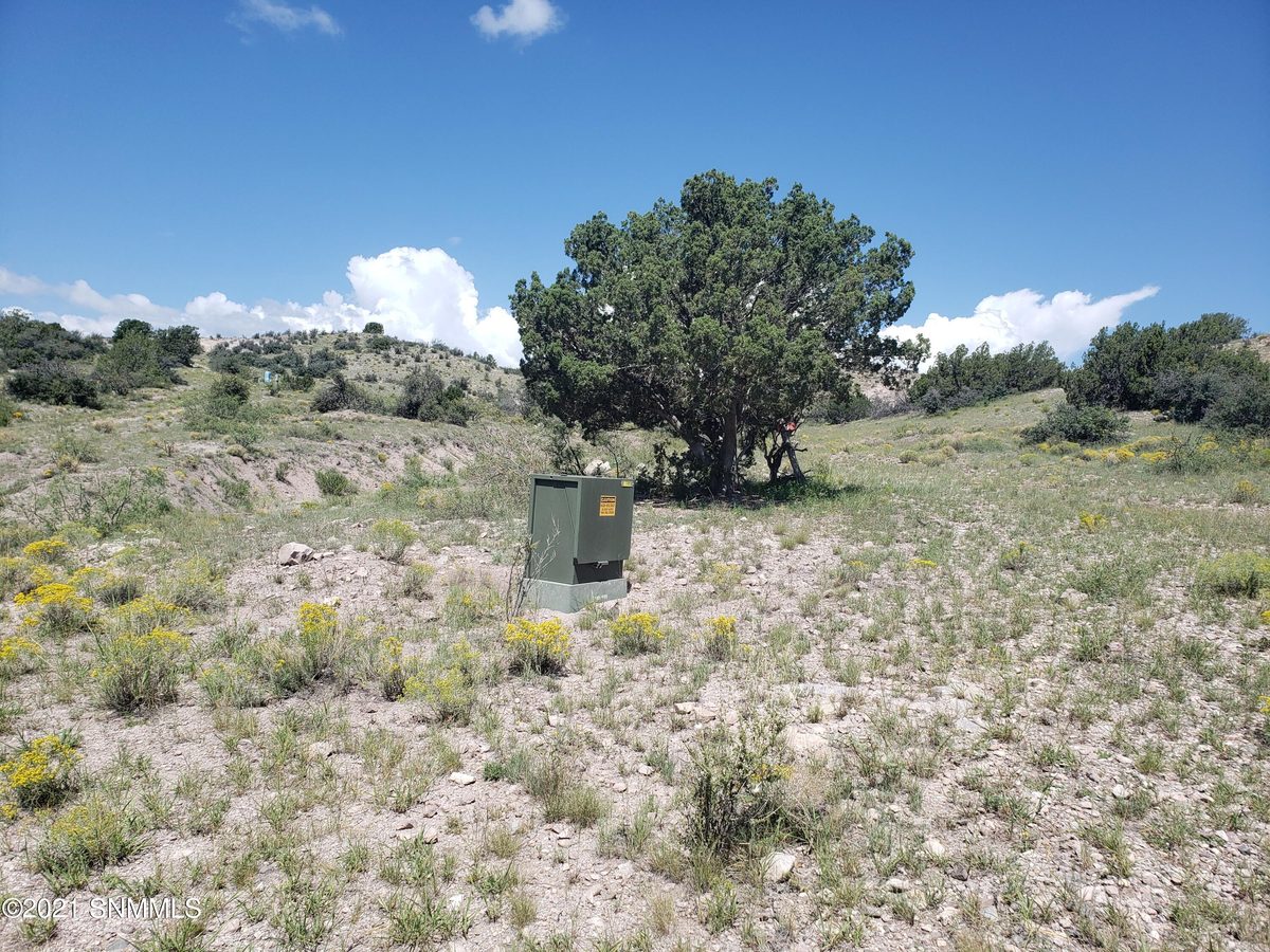 8 Child of Water, Hillsboro, NM 88042, foto 8
