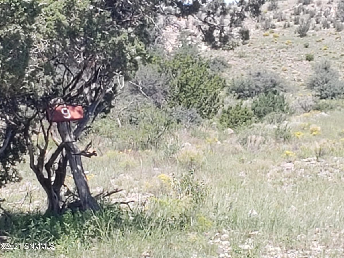 8 Child of Water, Hillsboro, NM 88042, foto 9