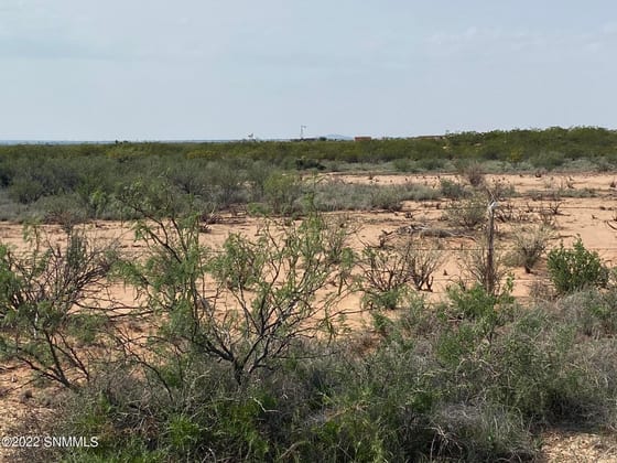 200 Outback Drive, Las Cruces, NM 88012 photo 3