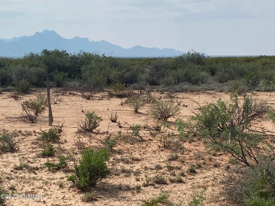 200 Outback Drive, Las Cruces, NM 88012 photo 4