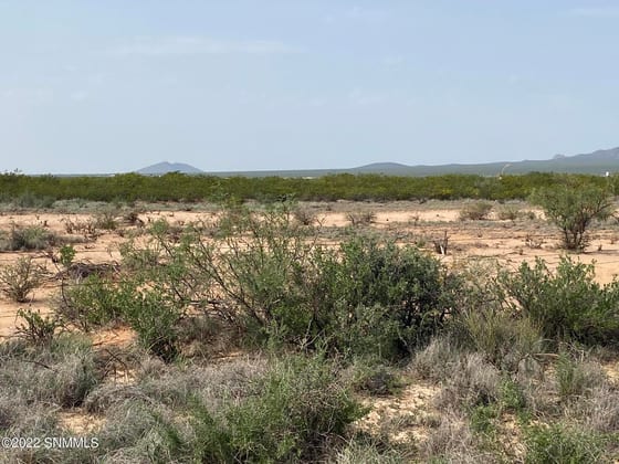 200 Outback Drive, Las Cruces, NM 88012 photo 5