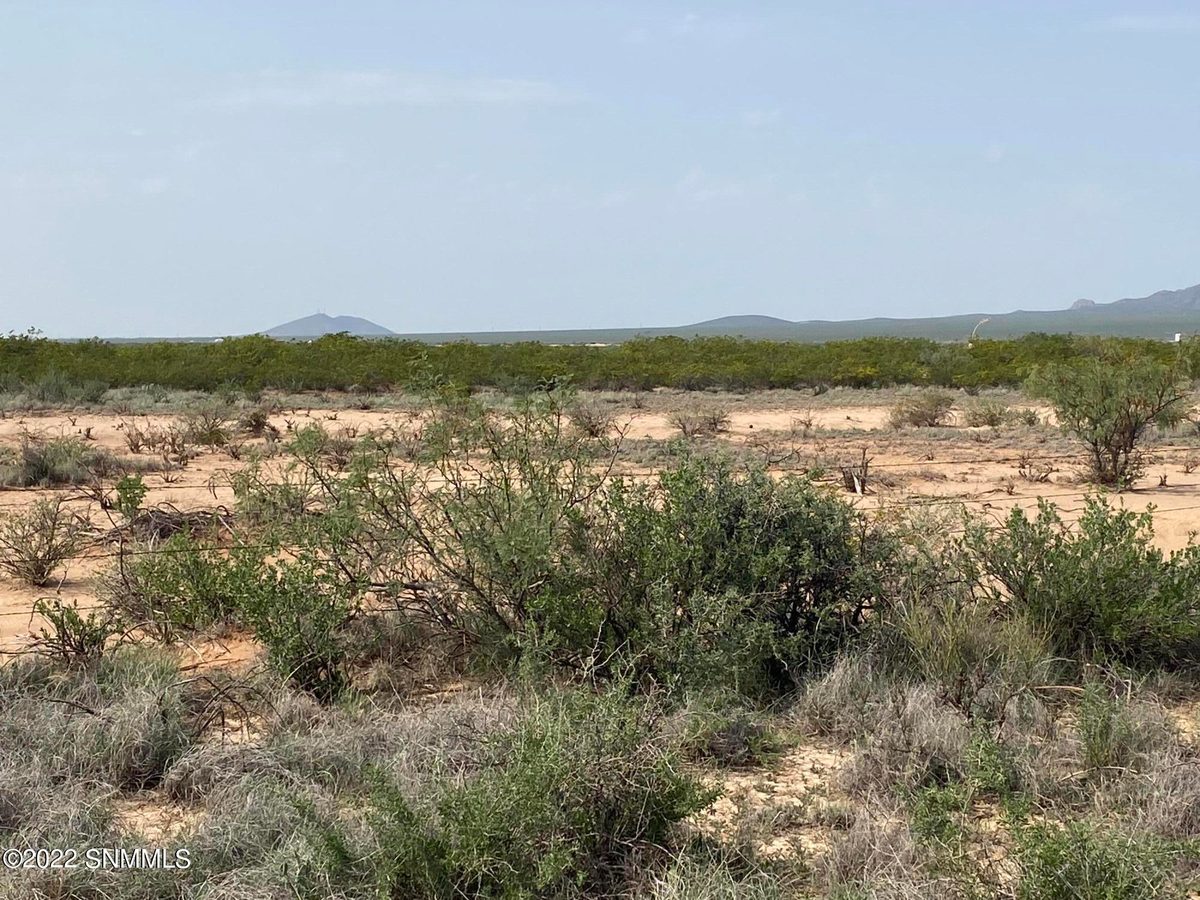 200 Outback Drive, Las Cruces, NM 88012 photo 5