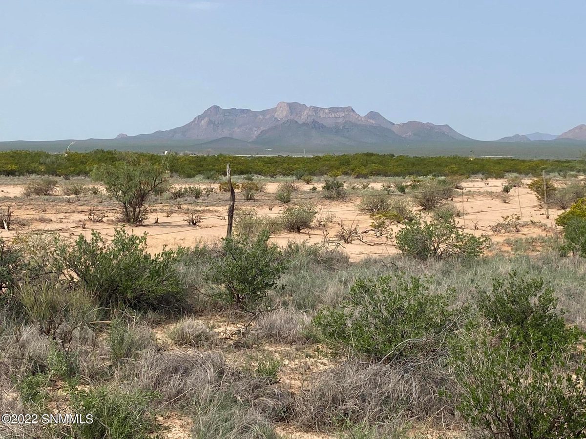 200 Outback Drive, Las Cruces, NM 88012 photo 6