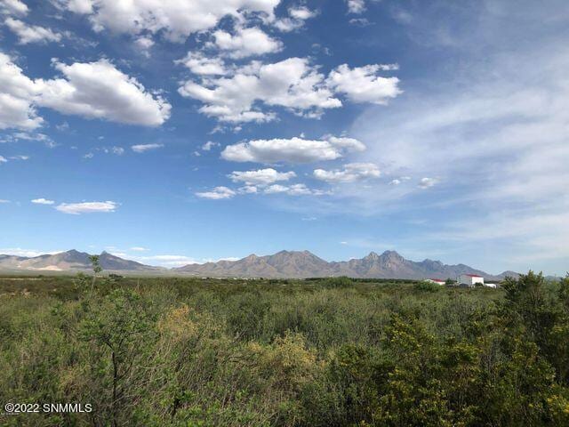 0000 Holman Road, Las Cruces, NM 88012 photo 1