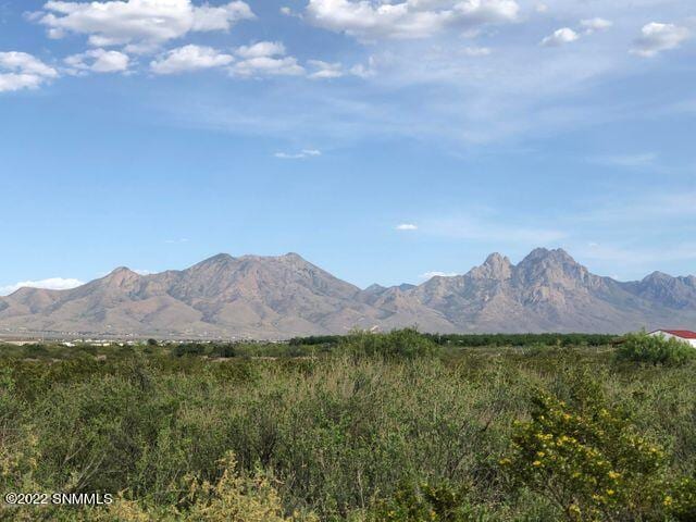 0000 Holman Road, Las Cruces, NM 88012 photo 2