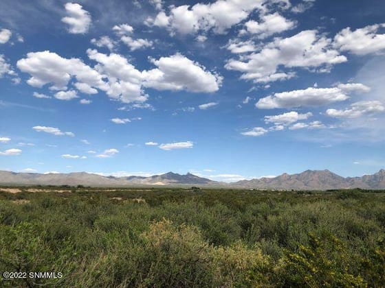 0000 Holman Road, Las Cruces, NM 88012 photo 3