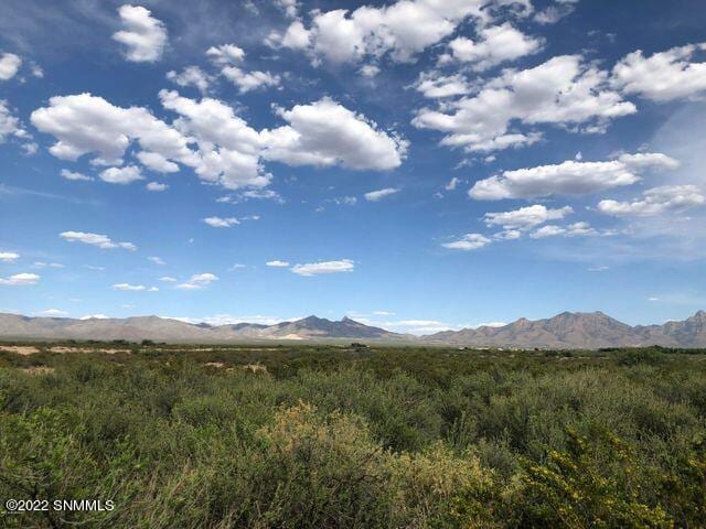 0000 Holman Road, Las Cruces, NM 88012 photo 3
