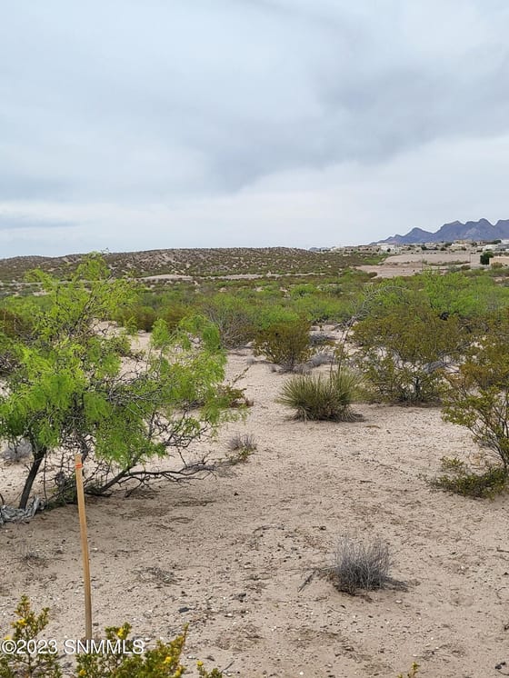 3495 Bataan Memorial West, Las Cruces, NM 88012 photo 4