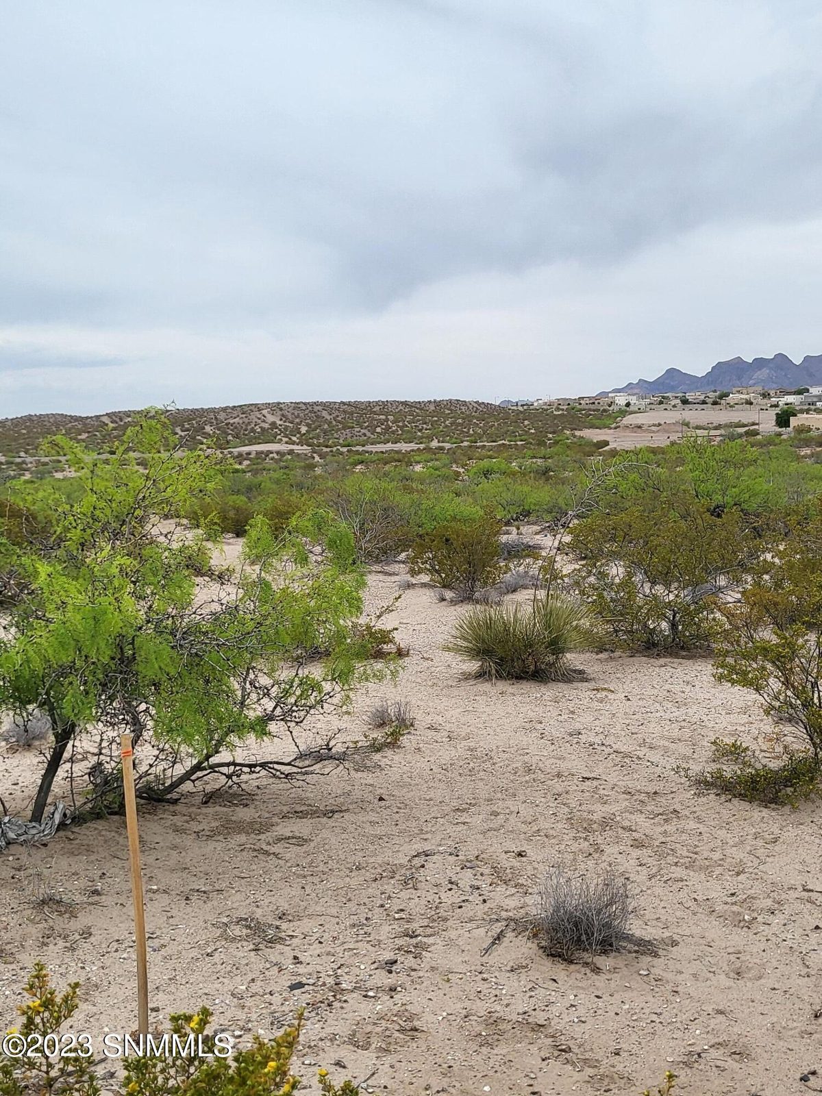 3495 Bataan Memorial West, Las Cruces, NM 88012, foto 4
