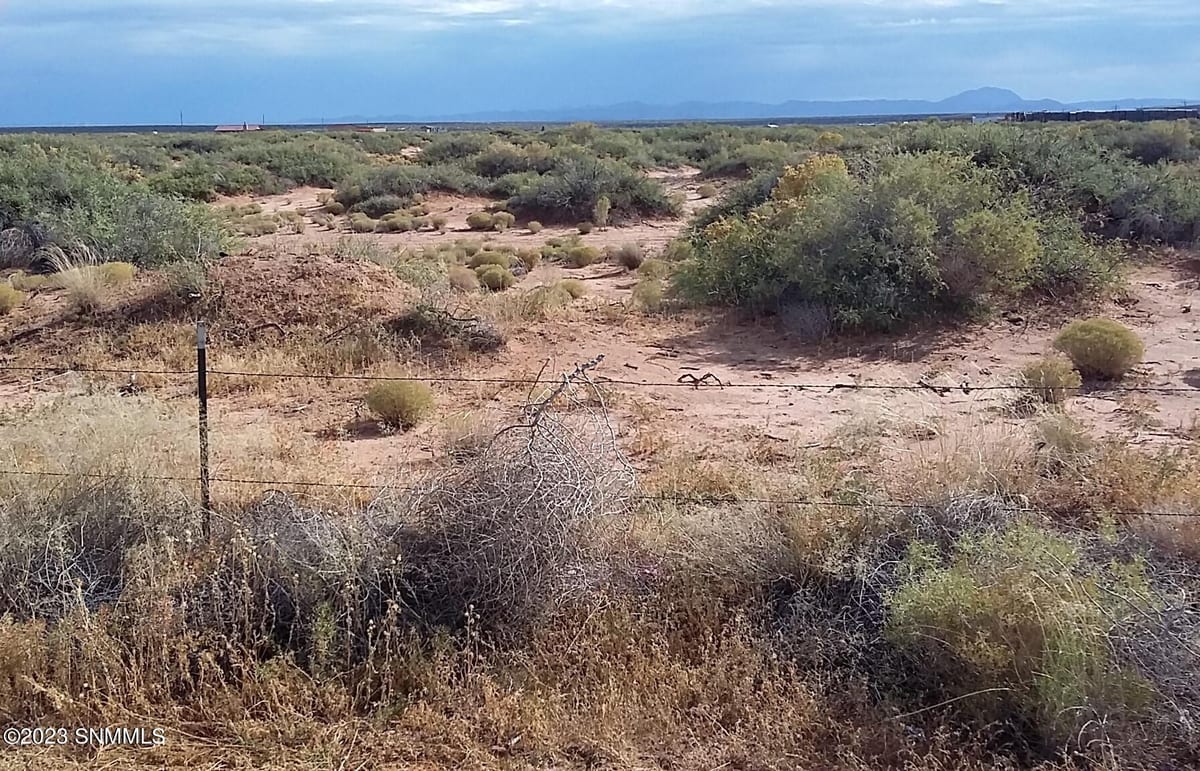 TBD US 54, Chaparral, NM 88081, foto 5