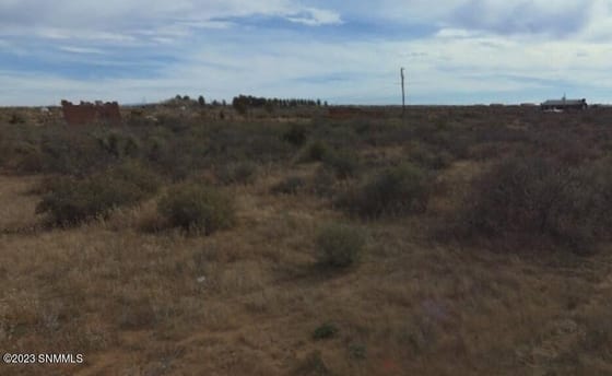 2225 Green River Loop, Chaparral, NM 88081 photo 5
