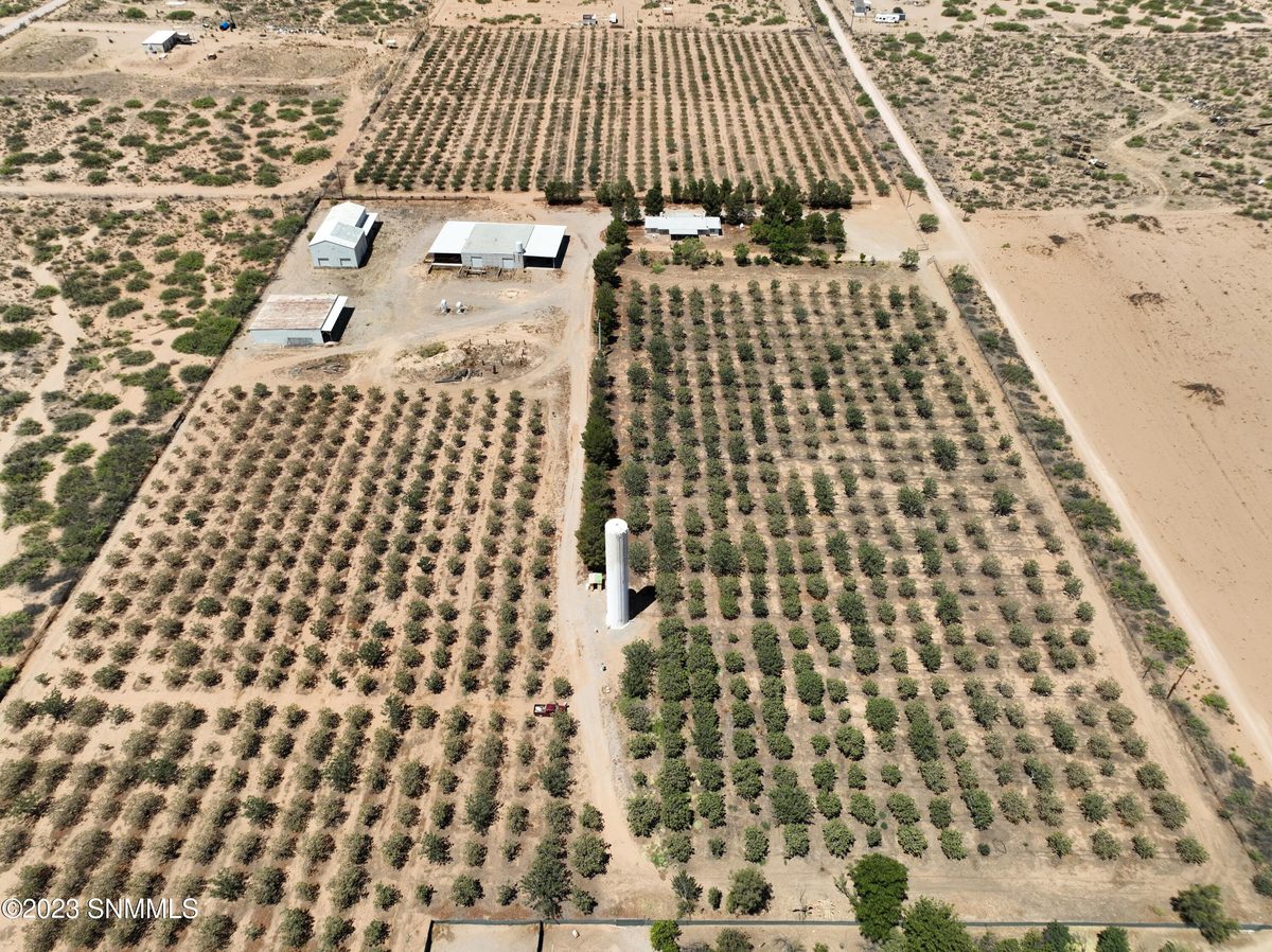 2695 REDSTONE Street, Chaparral, NM 88081, foto 15