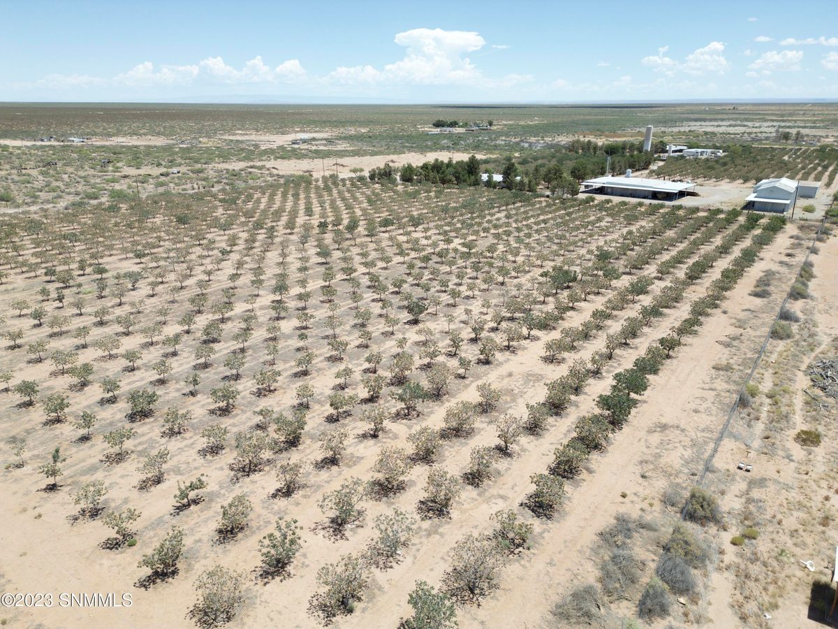 2695 REDSTONE Street, Chaparral, NM 88081, foto 9