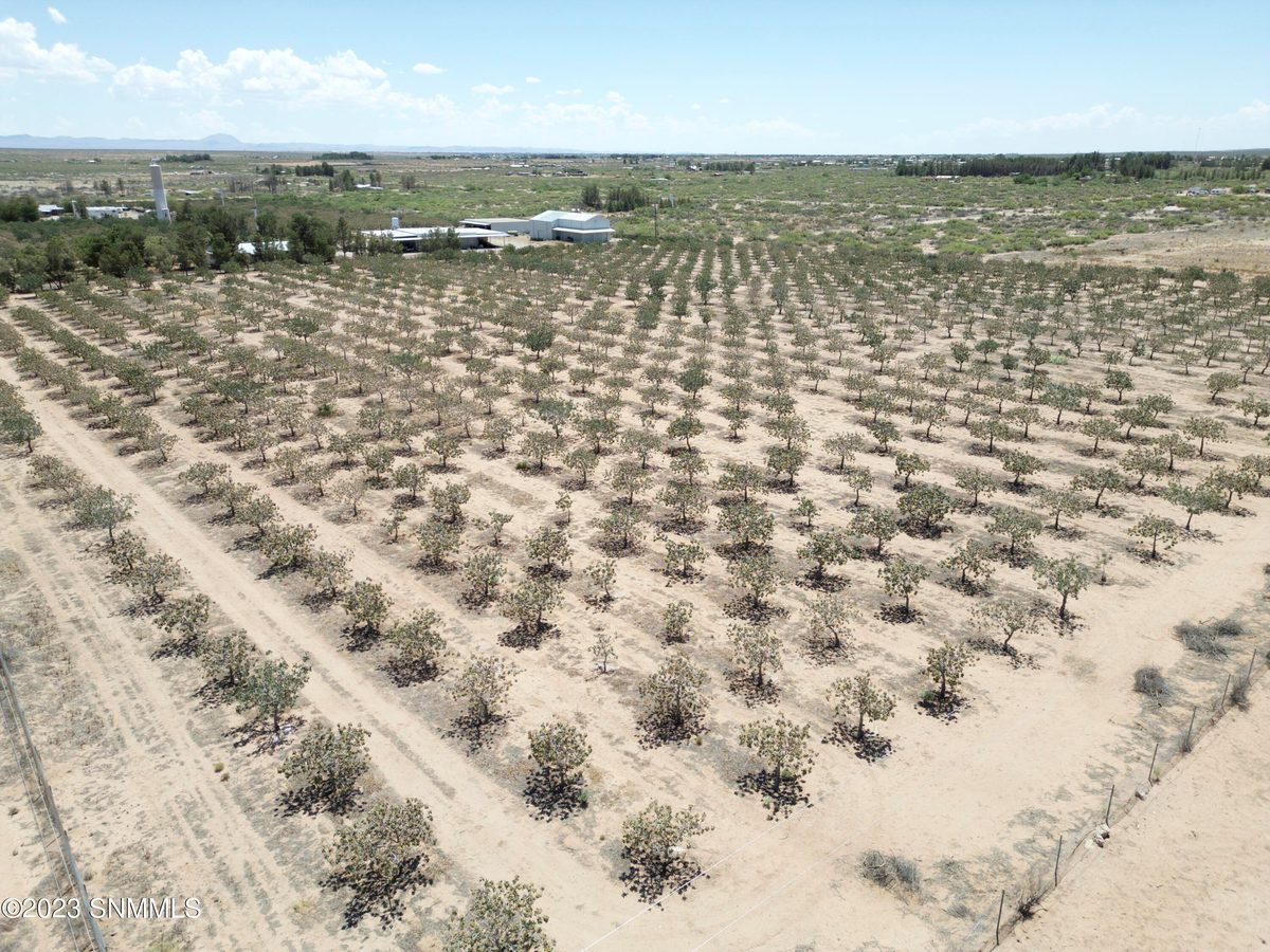 2695 REDSTONE Street, Chaparral, NM 88081, foto 10