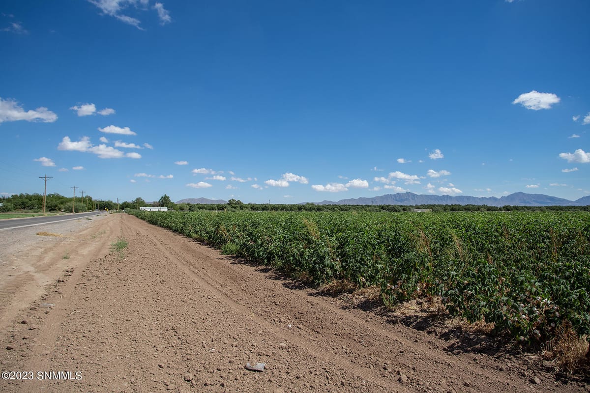 2801 W Ohara Road, Anthony, NM 88021 photo 11