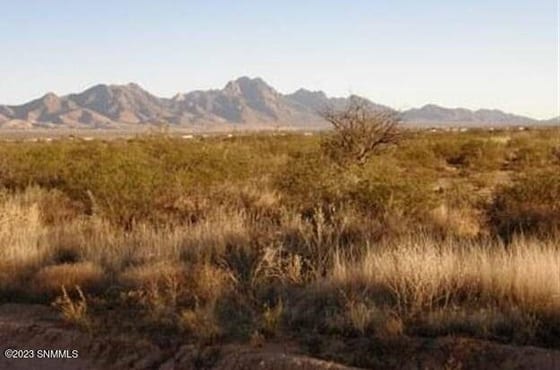 7569 Rabbit Run Road, Las Cruces, NM 88012 photo 3