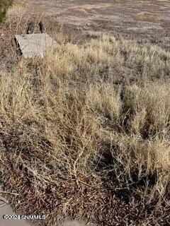 900 Lake Tahoe Court, Las Cruces, NM 88007, foto 2