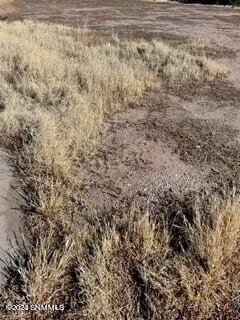 900 Lake Tahoe Court, Las Cruces, NM 88007, foto 6
