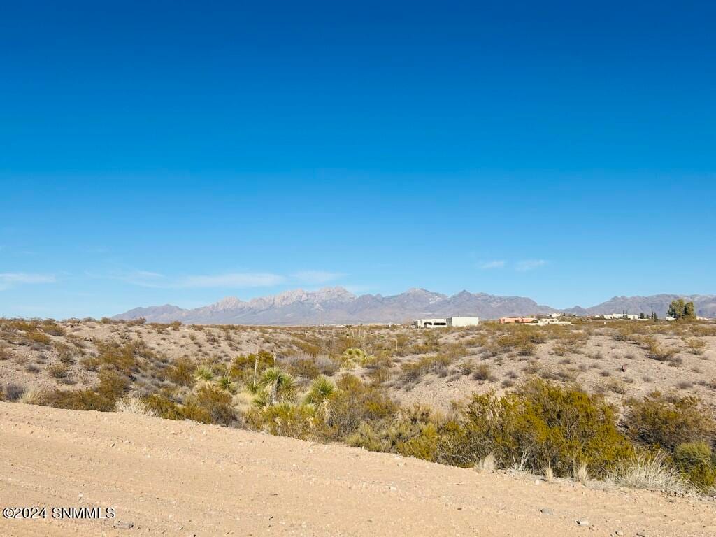 4397 RC Gorman Loop, Las Cruces, NM 88011 photo 7