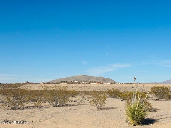 4319 RC Gorman Loop, Las Cruces, NM 88011 photo 3