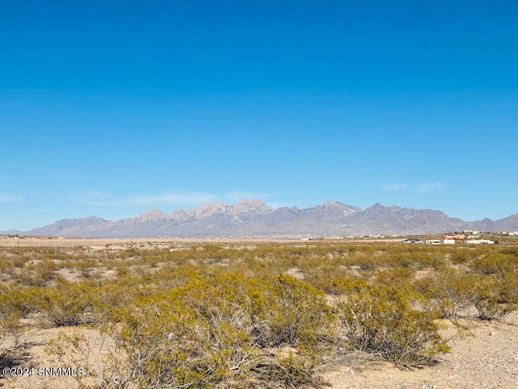 4331 RC Gorman Loop, Las Cruces, NM 88011 photo 9