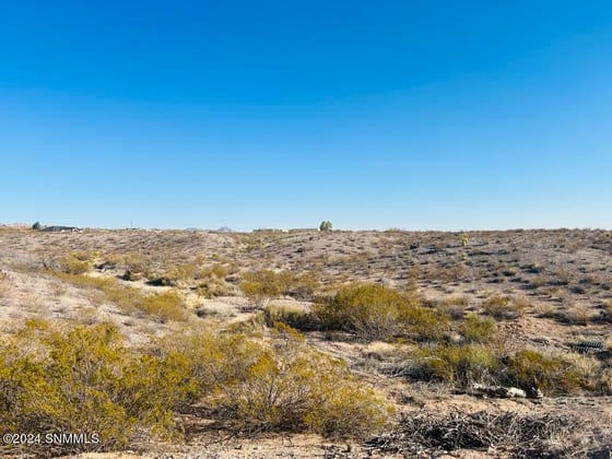 4302 RC Gorman Loop, Las Cruces, NM 88011 photo 4