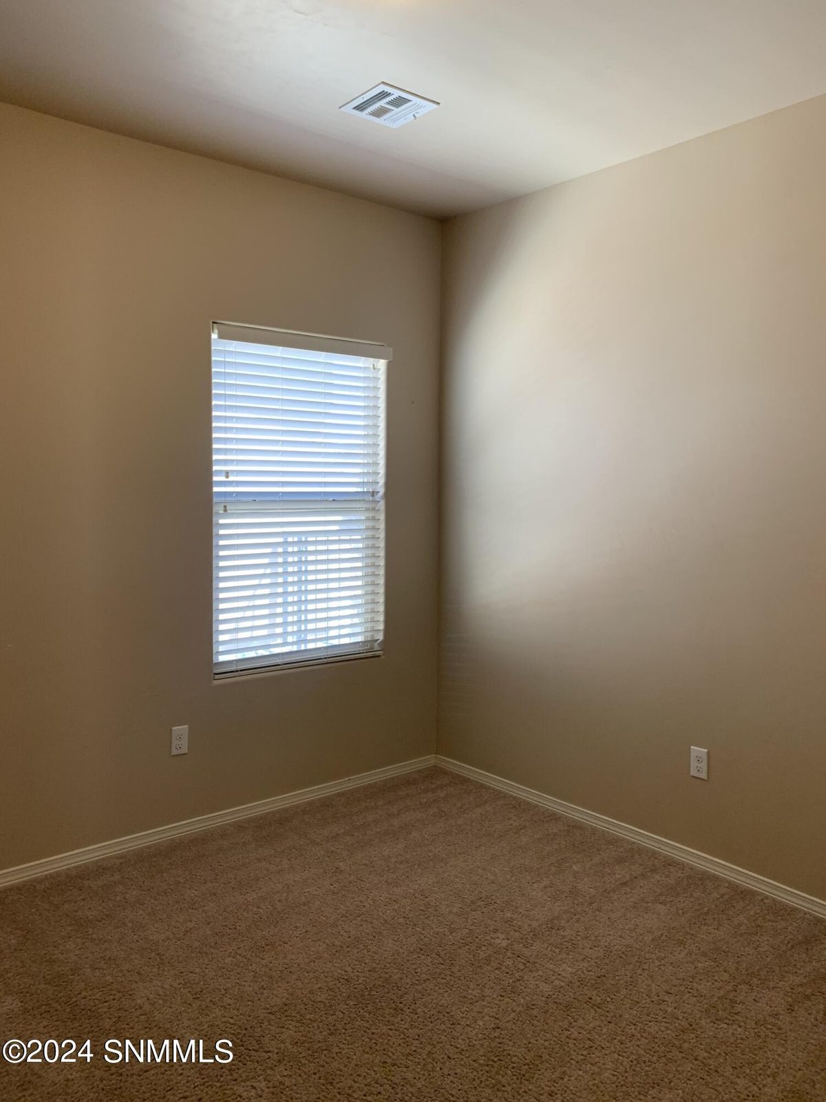 4832 Sonoran Avenue, Las Cruces, NM 88012, foto 12