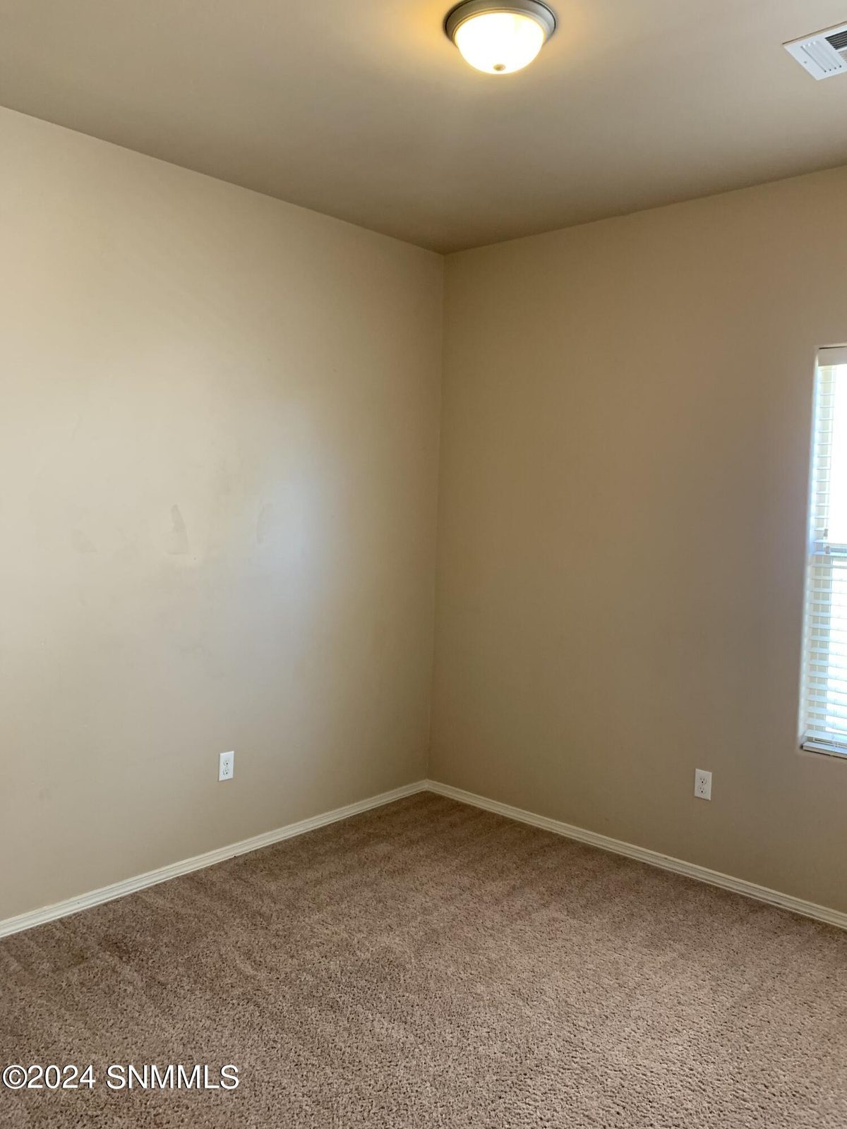 4832 Sonoran Avenue, Las Cruces, NM 88012, foto 13