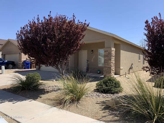 4832 Sonoran Avenue, Las Cruces, NM 88012 photo 3