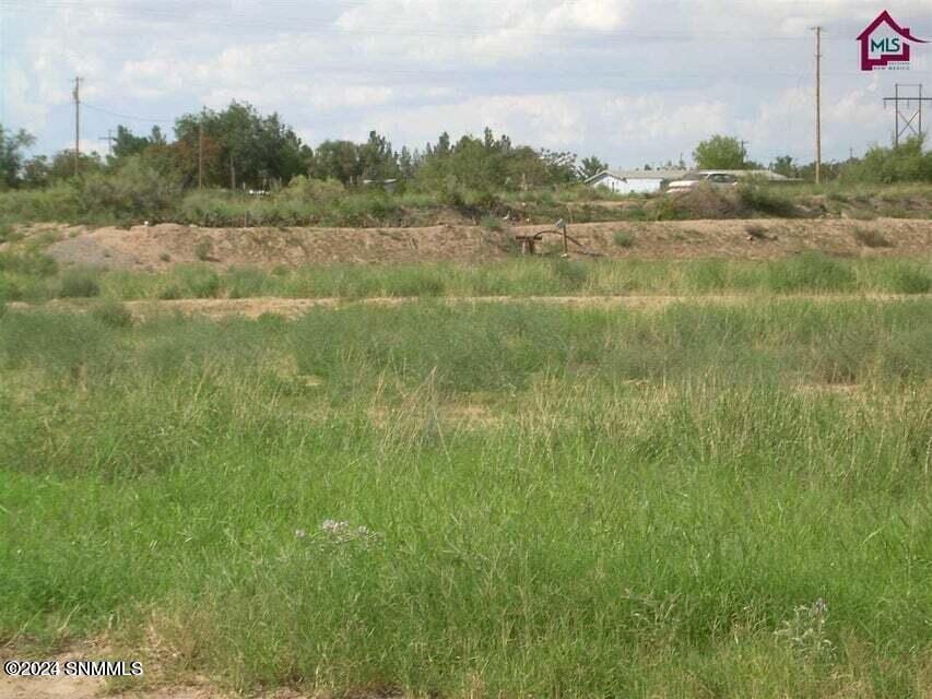 11874 L B Lindbeck Road, Radium Springs, NM 88054, foto 2