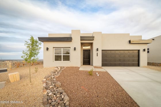 1005 Noria Court, Las Cruces, NM 88012 photo 4