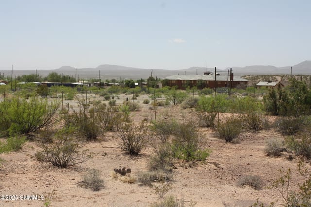 777 Baker Street, Rincon, NM 87940 photo 2