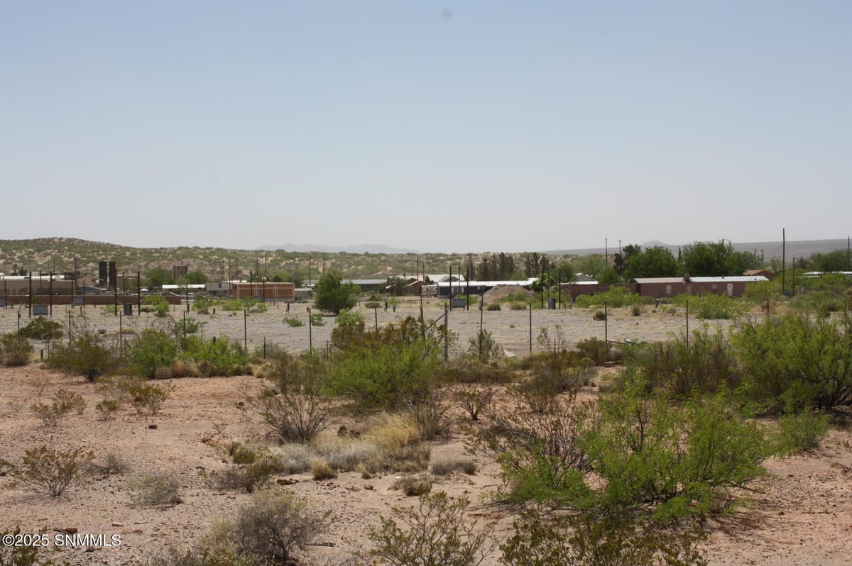 777 Baker Street, Rincon, NM 87940 photo 3