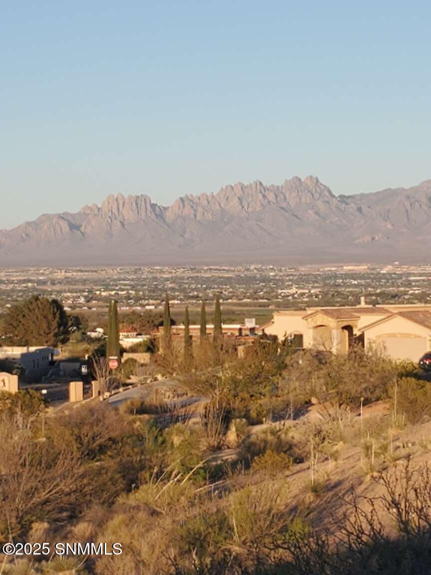 8025 Renoir Loop, Las Cruces, NM 88007 photo 1