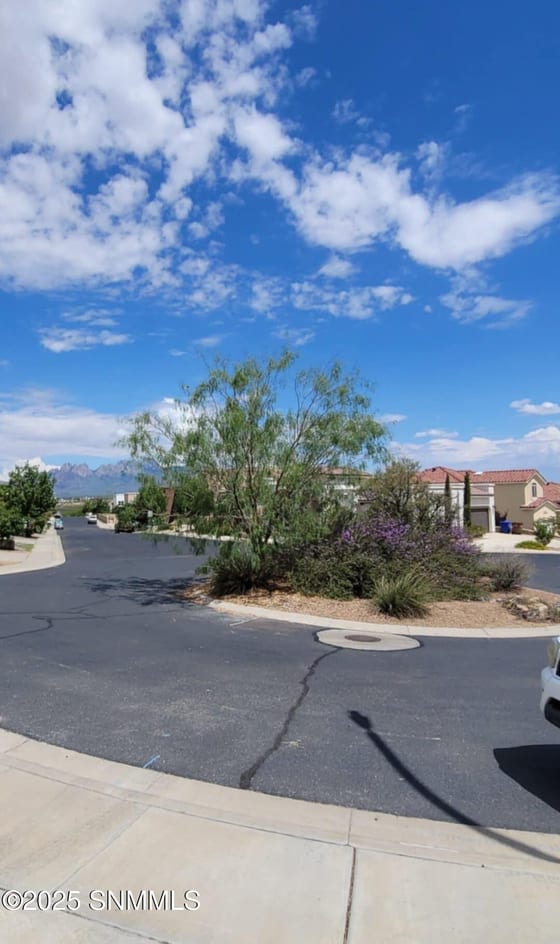 3796 Ascencion Circle, Las Cruces, NM 88012 photo 2