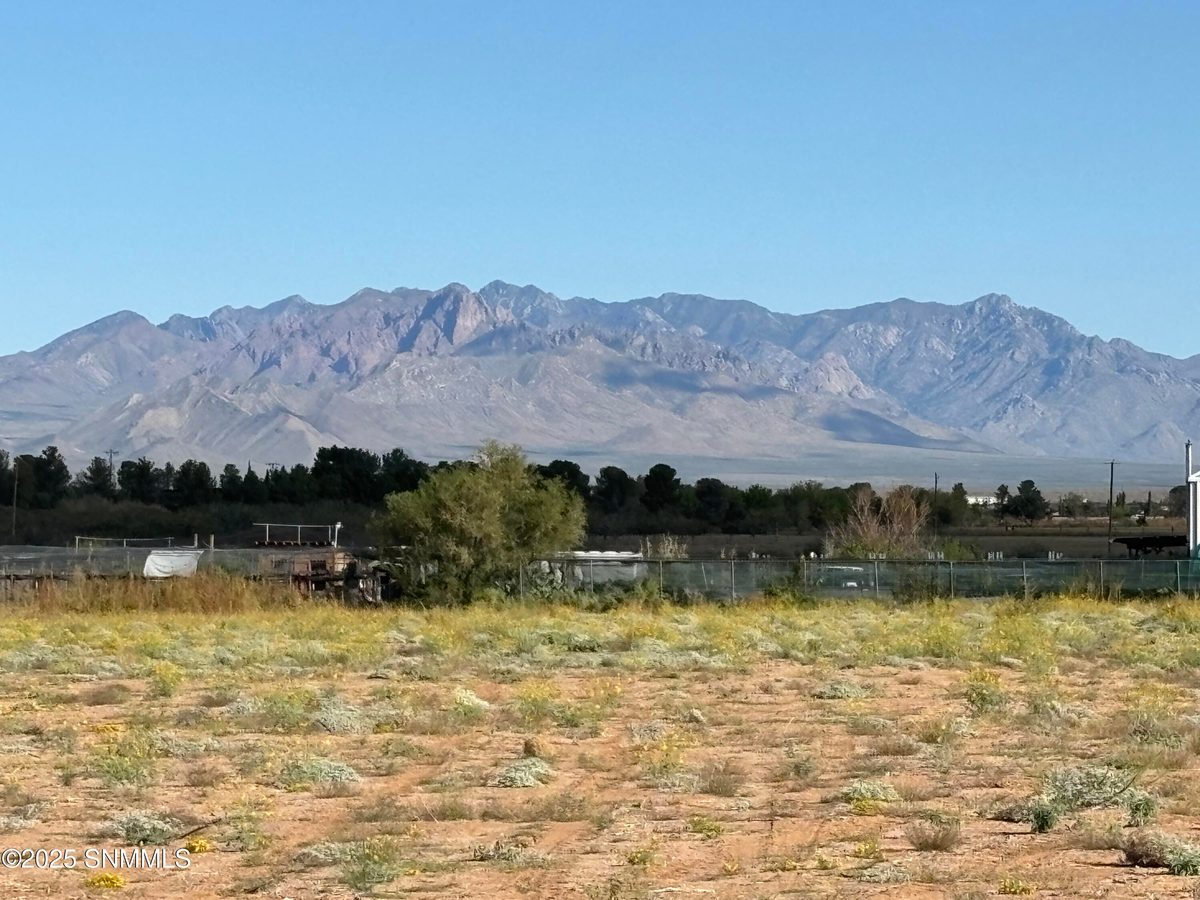 1001 Finley Street, Chaparral, NM 88081, foto 8