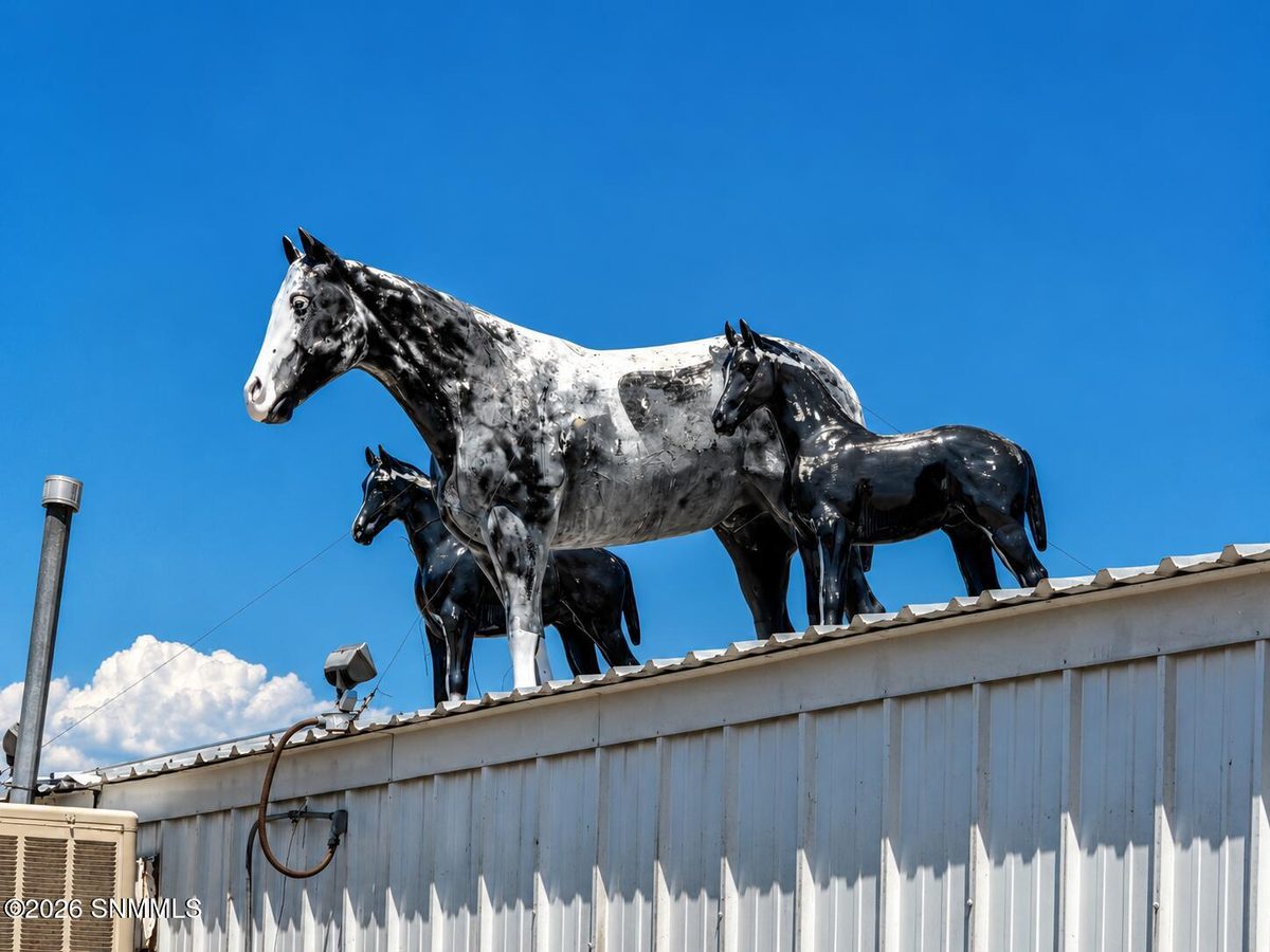 12124 NM-152 Highway, Caballo, NM 87931 photo 9